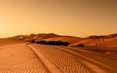 Détails concernant le wird et les dhikr présents sur Âme Horizon