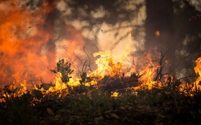 Amazonie : c'est notre âme qui brûle