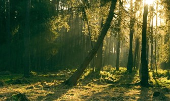 Question : Je ne me sens pas bien intérieurement, suis-je en train de m’éloigner de Dieu ?