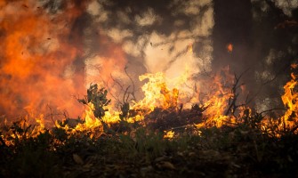 Amazonie : c'est notre âme qui brûle