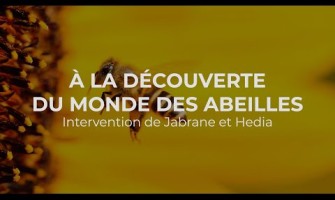 À la découverte du monde des abeilles - Jabrane et Hedia