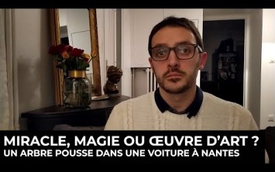 Miracle, magie, ou œuvre d'art ? Un arbre pousse dans une voiture à Nantes