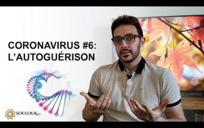 Coronavirus #6 : L'autoguérison