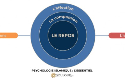 Psychologie élémentaire : l'essentiel