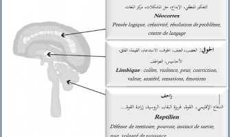 علم النفس كلمة واحدة